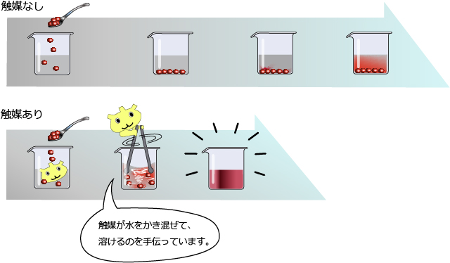 中濃度イソプロパノール処理