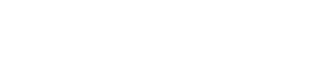 AirNEXmini